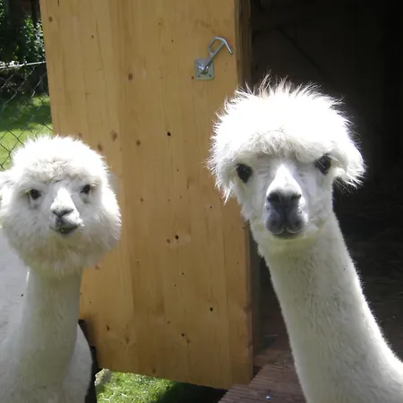 Sperlingsberg 3* Crimmitschau